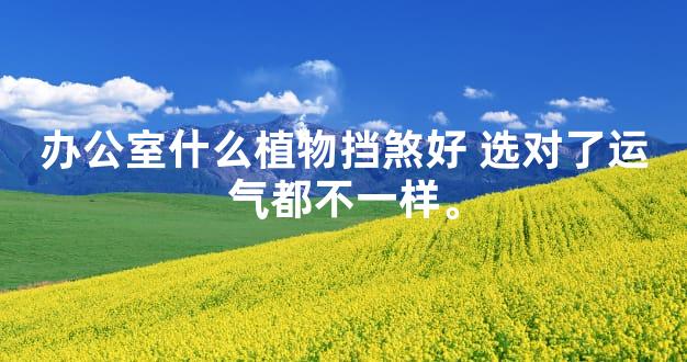 办公室什么植物挡煞好 选对了运气都不一样。